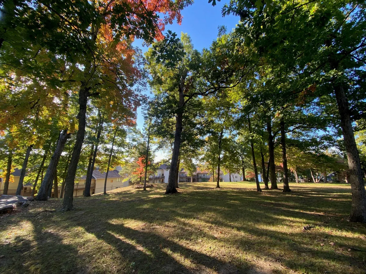 A serene view of tall trees with colorful autumn foliage, dotted with distant houses and open grassy areas. The scene suggests wide, peaceful outdoor spaces perfect for walking, exploring, and enjoying nature with pets.